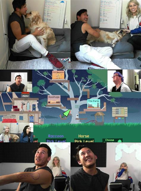 how much has markiplier donated to charity|donate to youtubers.